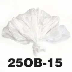 Item thumbnail for item 4163b708-4468-46f8-8e66-2cf0b45d0852