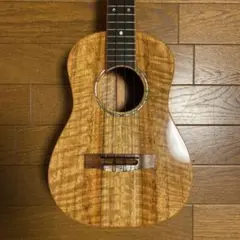 【美品】Pegasus Guitars T4 テナーウクレレ