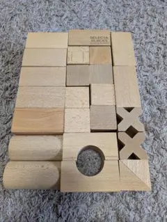 Item thumbnail for item 702da905-fe08-4e37-b220-e9e66e1ff50e