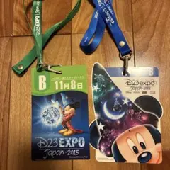 D23 EXPO Japan 2015 & 2018 入場パスセット