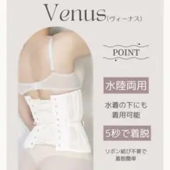 元鈴木さん コルセット Venus ヴィーナス Lサイズ グレージュ