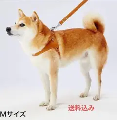 Item thumbnail for item a5783d0b-31fa-47ea-9c33-77b1b2f61fcb