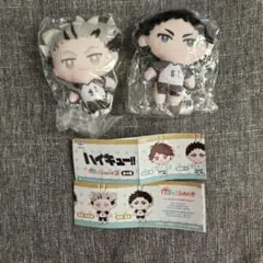 赤葦 木兎 かぷっこふれんず ハイキュー
