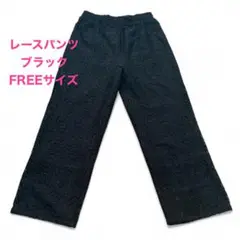 即購入OK! レディース レース パンツ 透け感 おしゃれ ブラック