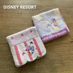 DISNEY RESORT デイジータオルハンカチ2種セット　ピンク/パープル