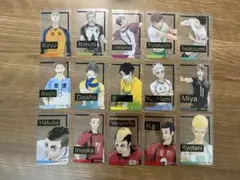 ハイキュー ファンパーク 箔押しクリアカード 15点セット