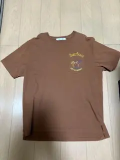 Manly Beach ブラウン Tシャツ XL