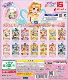 全14種コンプ アイカツ！ だれでもアイドル活動アクリルチャーム2