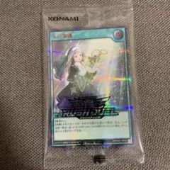 遊戯王ラッシュデュエル　天の加護　シークレット　シク　1枚　未開封　red　赤 2025年最新】天の加護 red ラッシュデュエルの人気アイテム