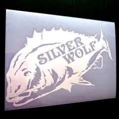 Item thumbnail for item 31c8b278-c725-4664-8af8-2c57667ecf4d