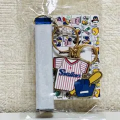 【新品未使用】東京ヤクルトスワローズ YSxシモジマ キーホルダー（カラー）