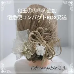 Item thumbnail for item 928124a9-f184-4549-b27a-56d4906b4f0a