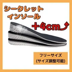 【4cm】シークレットインソール 靴 中敷き 身長 盛る 男女兼用 サイズ調整可
