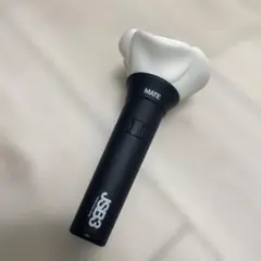 JSB3 Official “MATE” Light Stick