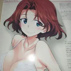 ガールズ＆パンツァー 　あずみ　額装　B5サイズ