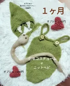 【販売】巳年ニューボーンフォト衣装緑☆ヘビニット蛇帽子☆あみぐるみセット出産祝い