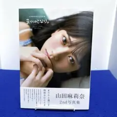 山田麻莉奈2nd写真集 まりりのとなり。
