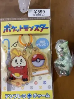 新品ポケモンホゲータアンブレラチャームニャローテキーホルダーセット