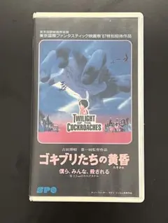 ワイルド・タッチ3　パチスロ大攻略　アステカ編　VHS ワイルド・タッチ3 パチスロ大攻略 アステカ編 VHS ワイルド