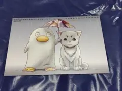 定春　エリザベス　銀魂　イラストカード