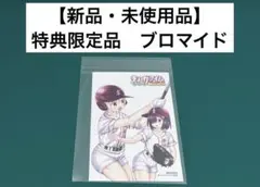 【激レア】　球詠　マウンテンプクイチ　ブロマイド　特典限定品　百合　漫画　美品
