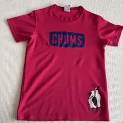 CHUMS 半袖Tシャツ ピンク ペンギンデザイン