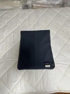 patagonia Micro D-Luxe マフラー グレー