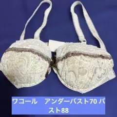 ワコール　ペイズリー柄ブラジャー D70 アンダーバスト70 バスト88㎝
