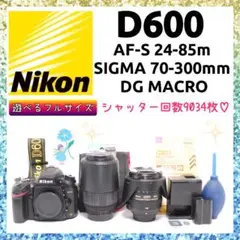 Item thumbnail for item c4d46292-b583-4ec1-b6d2-4d941a0e71a0