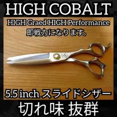 Item thumbnail for item fd1e9b9d-7493-4d86-a2e8-77a5797c43ae