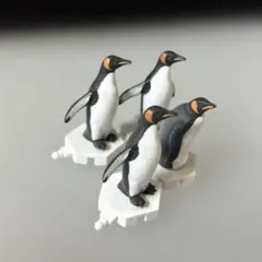 オウサマペンギン　4羽　日本水族館立体生物図録　第2巻