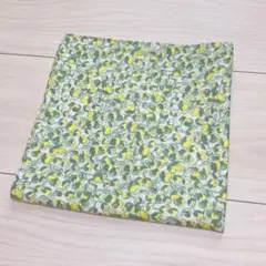 Item thumbnail for item d4de75e0-cae9-4949-97a0-00040920f4a0