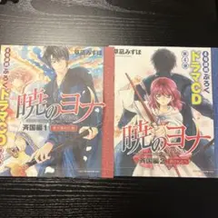 暁のヨナ　ドラマCD2枚セット　斉国編