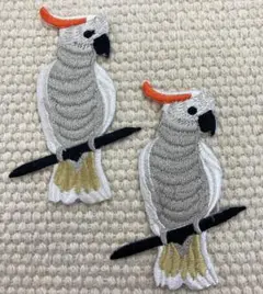 刺繍ワッペン　オウム　鳥　バード　2枚セット