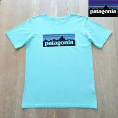 【美品】patagonia オーガニックコットン ロゴTシャツ XL14