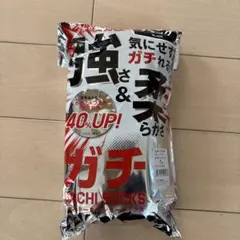 ガチソックス ブラック 26-29cm