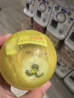 ナガノキャラクターズ もっちるフェイスマスコット ガチャ 早インパラ