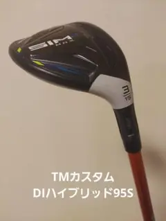 SIM2MAX レスキュー 3U ツアーAD DI95S
