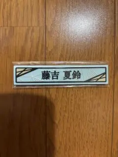 Item thumbnail for item 60db0862-bc59-42dd-b9a2-475f639ce18f