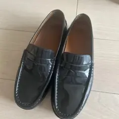 Item thumbnail for item 685aa291-93a4-4c40-9e03-1ac774fb8aea