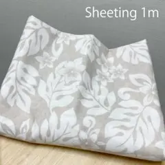 Item thumbnail for item d3079717-03b5-4248-a940-fc9a5d859058