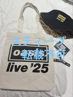 チケット半券付き‼️ Oasis Live'98 Tour Book チケット半券付き‼️ Oasis Live'98 Tour Book チケット半券付き