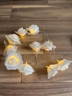 バラ　照明