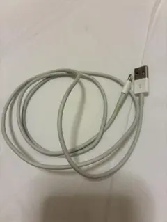 2本セットLightningケーブル USB接続 ホワイト