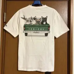 TES CALIFORNIA　BUHI　トラック　L
