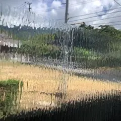 ガラスフィルム　窓　目隠し　レインタイプ