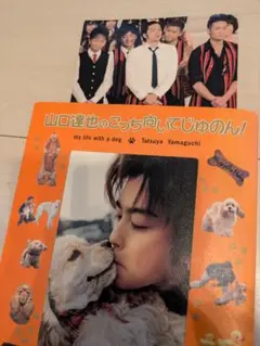 TOKIO山口達也のこっち向いてじゅのん!＆貴重メンバー写真