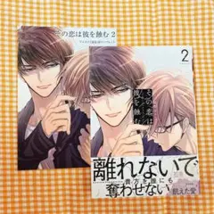 その恋は彼を蝕む 2