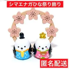 フラワーアーチ　匿名　シマエナガ　ひな祭り　おひな様　おだいり様　キャンドゥ