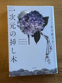 一次元の挿し木 松下龍之介